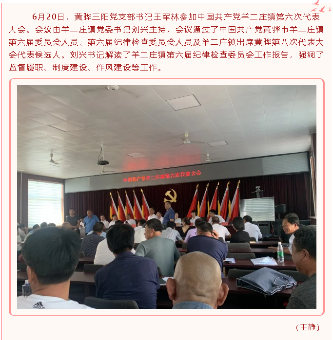 黃驊三陽(yáng)黨支部參加中國共產(chǎn)黨羊二莊鎮第六次代表大會(huì )49