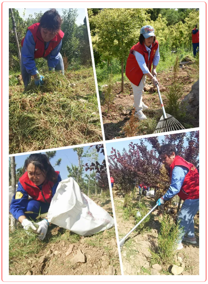 學(xué)黨史 辦實(shí)事 ——重山集團黨委組織黨員志愿服務(wù)活動(dòng)74