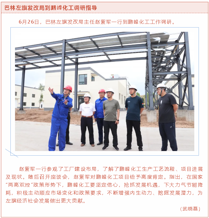 巴林左旗發(fā)改局到鵬峰化工調研指導22