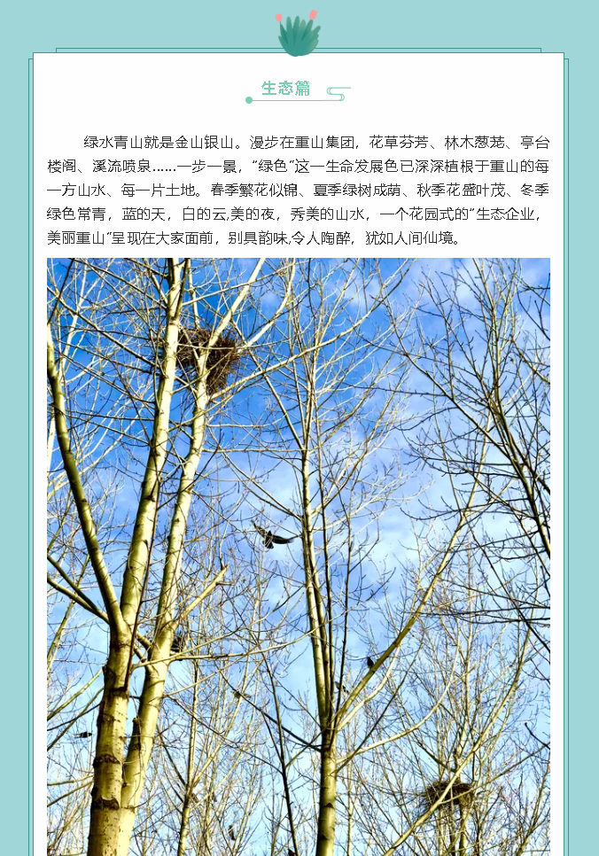 【鏡頭里的重山】邀您共賞重山之美！77