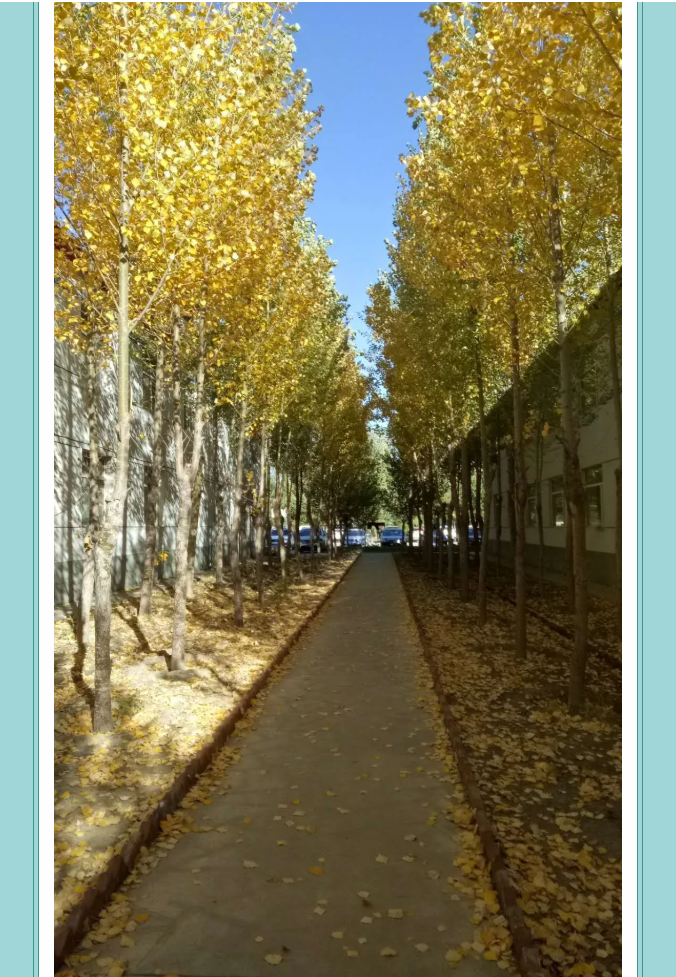 【鏡頭里的重山】邀您共賞重山之美！7