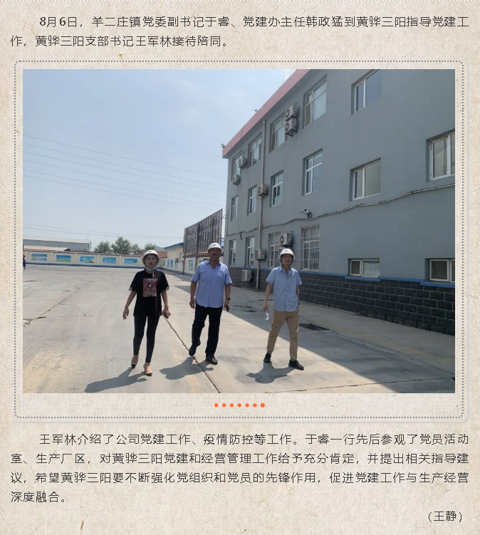 羊二莊鎮領(lǐng)導到黃驊三陽(yáng)指導黨建工作72