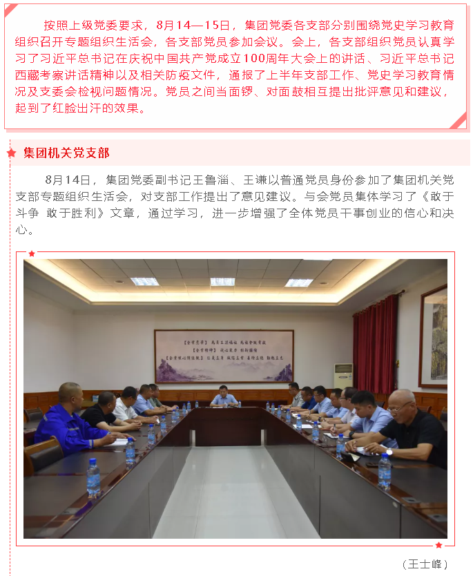 集團黨委各支部開(kāi)展黨史學(xué)習教育專(zhuān)題組織生活會(huì )47