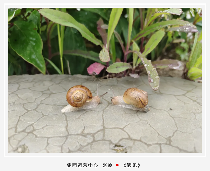 【魅力重山·幸福南韓】書(shū)畫(huà)攝影作品展(一)42