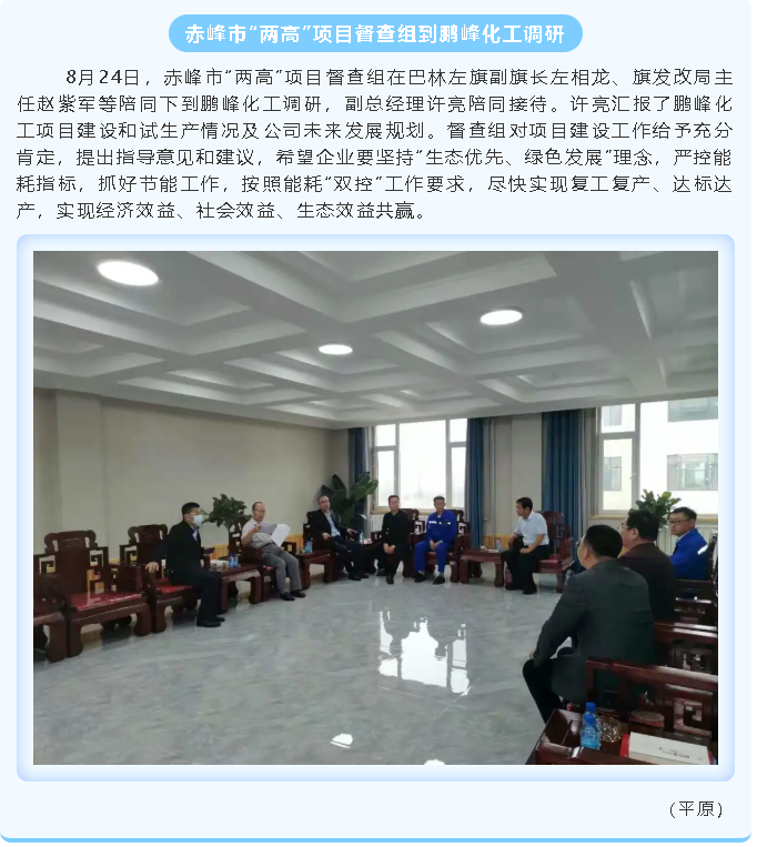 赤峰市“兩高”項目督查組到鵬峰化工調研85