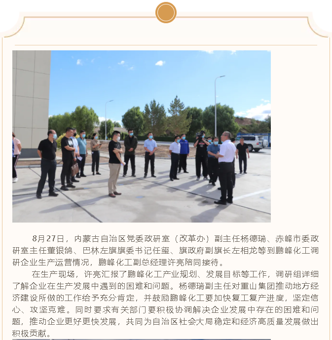 自治區黨委政研室到鵬峰化工調研指導工作34