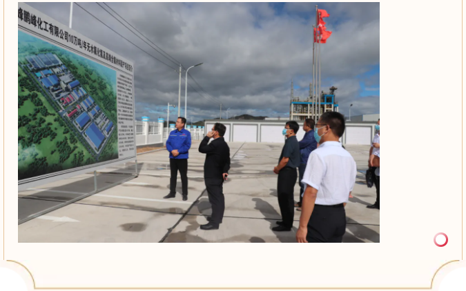 自治區黨委政研室到鵬峰化工調研指導工作34