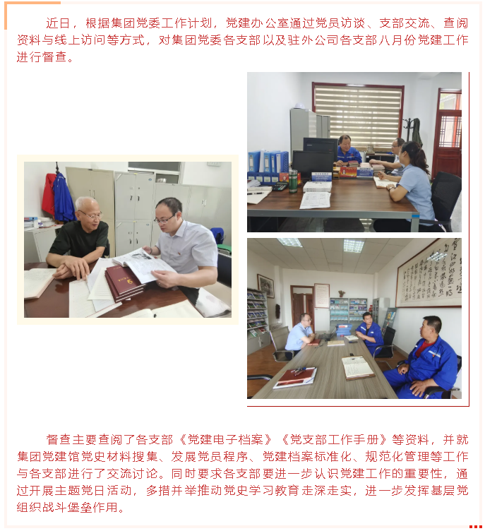 集團黨建辦開(kāi)展八月份黨建工作督查43