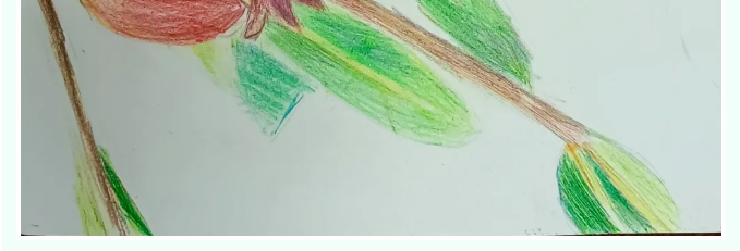 【魅力重山·幸福南韓】書(shū)畫(huà)攝影作品(六)37