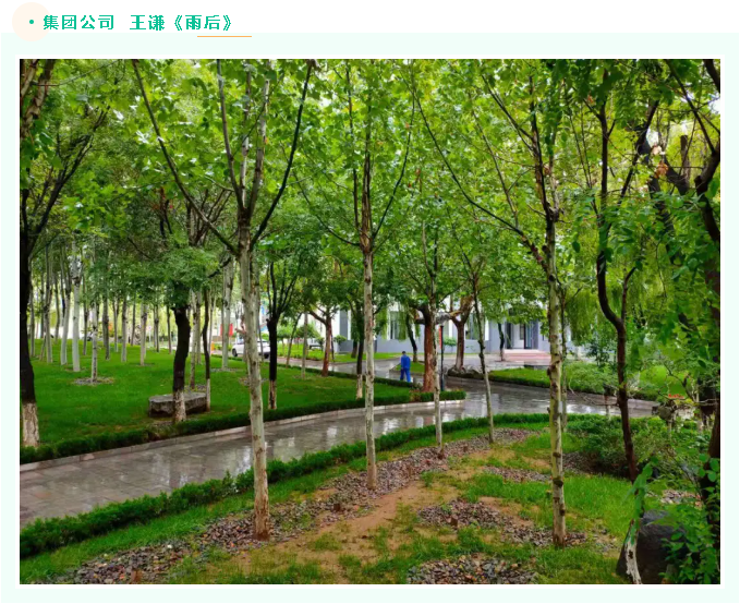 【魅力重山·幸福南韓】書(shū)畫(huà)攝影作品(六)37