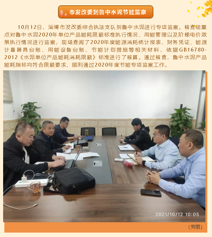 市發(fā)改委到魯中水泥節能監察40