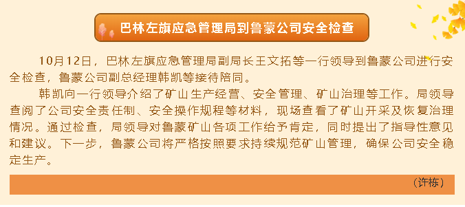 巴林左旗應急管理局到魯蒙公司安全檢查72