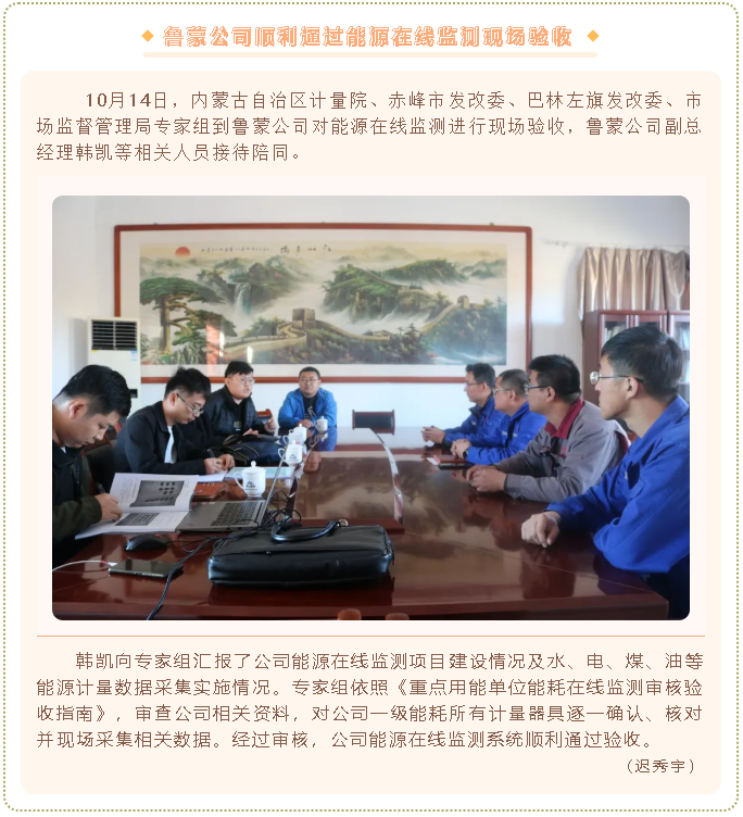 魯蒙公司順利通過(guò)能源在線(xiàn)監測現場(chǎng)驗收68