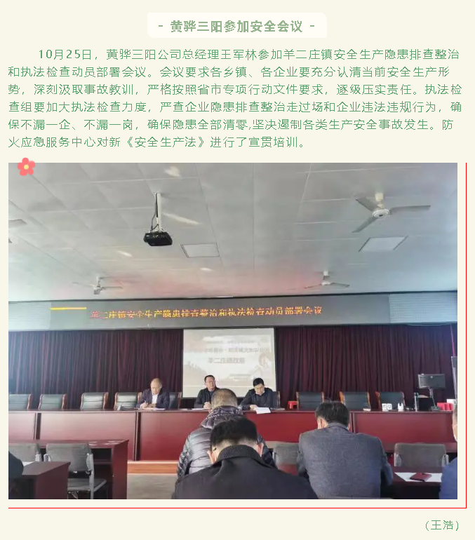 黃驊三陽(yáng)參加安全會(huì )議83