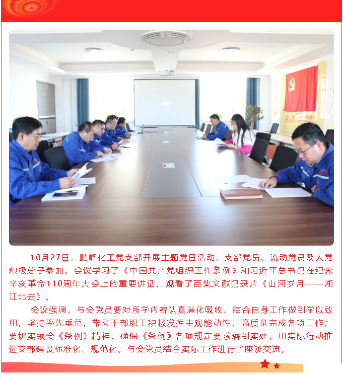 鵬峰化工黨支部開(kāi)展主題黨日活動(dòng)32