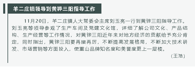 羊二莊鎮領(lǐng)導到黃驊三陽(yáng)指導工作74