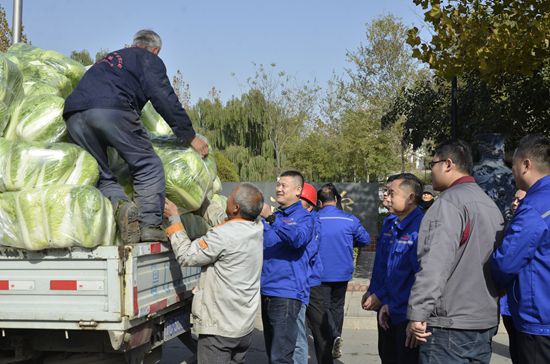 魯中水泥黨支部愛心善舉 ——幫助菜農(nóng)解決7500斤滯銷大白菜